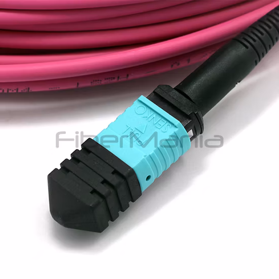 MPO Patch Cord